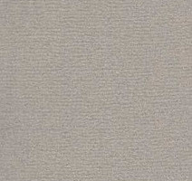 Ковролин Radici Nexus Perla 8209 фото 1 | FLOORDEALER